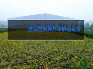 这就是街舞几季的冠军分别是