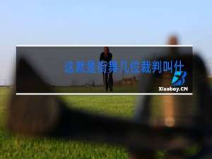 这就是街舞几位裁判叫什么