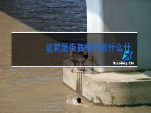 这就是街舞里的歌什么什么x
