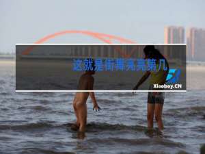 这就是街舞亮亮第几