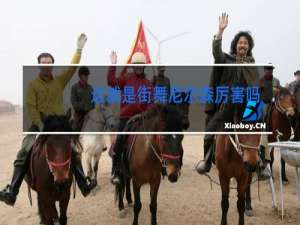 这就是街舞尼尔森厉害吗