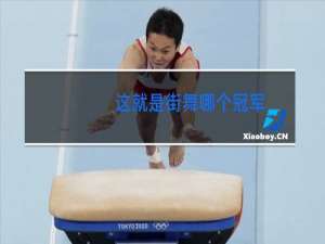这就是街舞哪个冠军