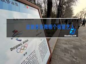 这就是街舞哪个明星艺人都能来当队长的吗