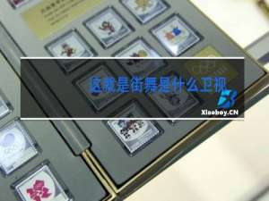这就是街舞是什么卫视