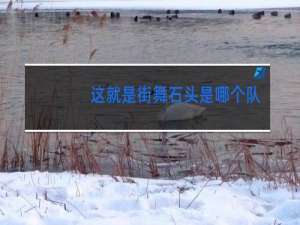 这就是街舞石头是哪个队的
