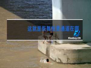 这就是街舞投票通道在哪