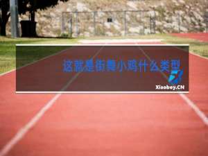 这就是街舞小鸡什么类型的街舞