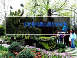 这就是街舞小朋友挑战第几期