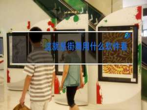 这就是街舞用什么软件看