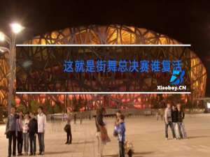这就是街舞总决赛谁复活了