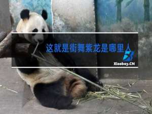 这就是街舞紫龙是哪里人