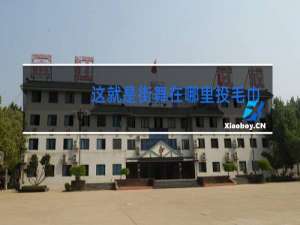 这就是街舞在哪里投毛巾