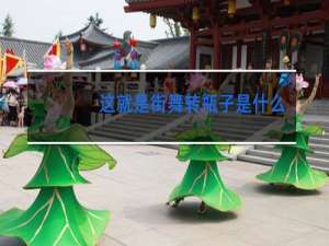 这就是街舞转瓶子是什么牌子