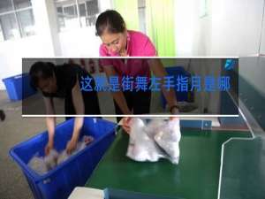 这就是街舞左手指月是哪一期