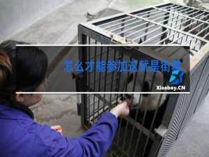 怎么才能参加这就是街舞