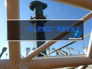 怎么把糖豆广场舞视频下载到u盘