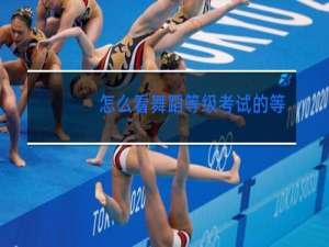 怎么看舞蹈等级考试的等级