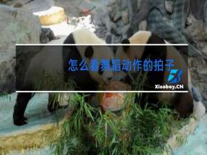怎么看舞蹈动作的拍子