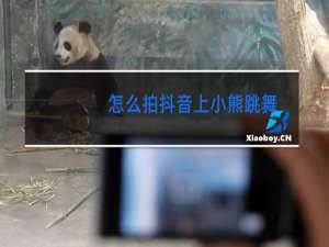 怎么拍抖音上小熊跳舞