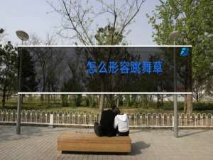 怎么形容跳舞草