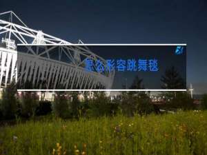 怎么形容跳舞毯