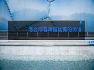 怎么形容舞蹈优美的词语