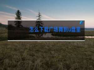 怎么下载广场舞到u盘里…