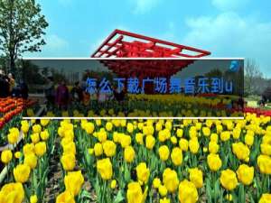 怎么下载广场舞音乐到u盘上