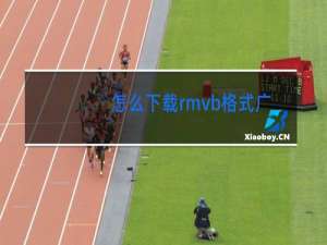 怎么下载rmvb格式广场舞