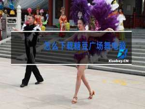 怎么下载糖豆广场舞电脑版