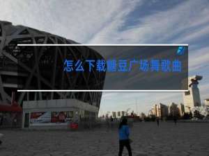 怎么下载糖豆广场舞歌曲