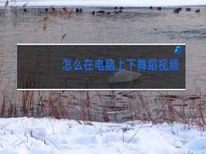 怎么在电脑上下舞蹈视频
