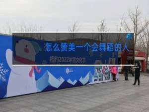 怎么赞美一个会舞蹈的人