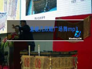 走破几双鞋广场舞mp3下载