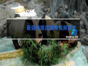 最强伴娘团跳舞视频紫衣姑娘是谁