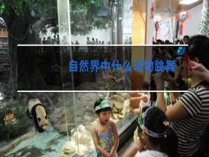 自然界中什么动物跳舞