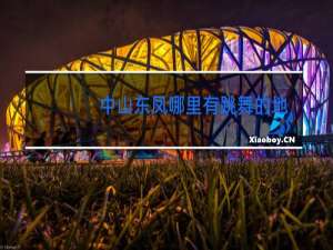 中山东凤哪里有跳舞的地方