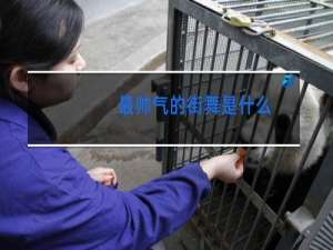 最帅气的街舞是什么