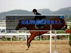 昭通风痕舞蹈学校收大人吗