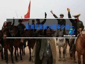 租舞蹈服装大概多少钱一套