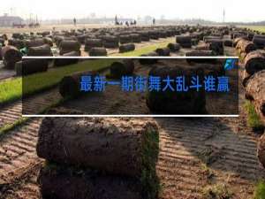 最新一期街舞大乱斗谁赢了