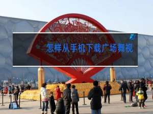 怎样从手机下载广场舞视频到u盘