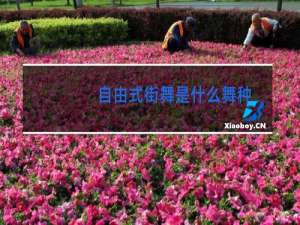 自由式街舞是什么舞种