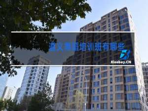 遵义舞蹈培训班有哪些