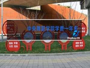 中央舞蹈学院学费一年多少钱