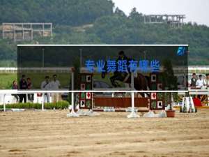 专业舞蹈有哪些