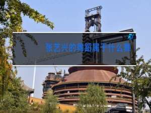 张艺兴的舞蹈属于什么舞种