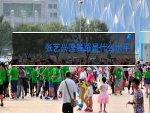 张艺兴莲舞蹈是什么水平