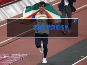 怎样欣赏舞蹈作品