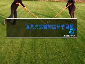 张艺兴跳舞的综艺节目都有哪些
